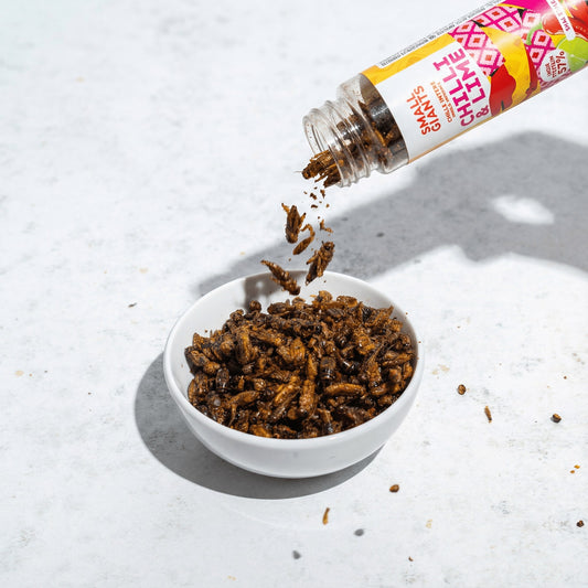 ecomposer-Composizione-Set-Insetti---4x-20g