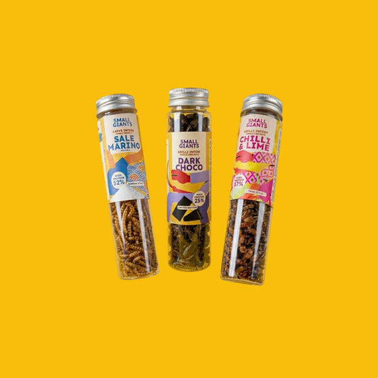 ecomposer-Composizione-Insetti-Mix---3x-20g