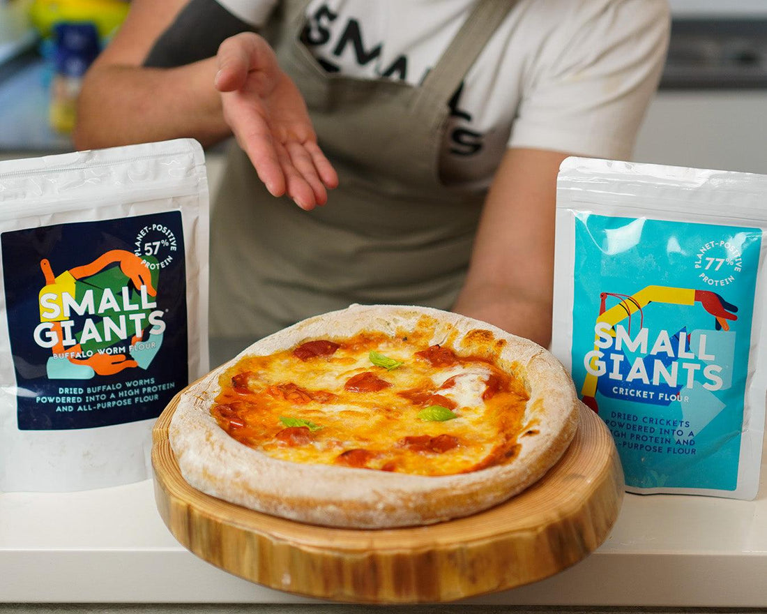 Insetti e cucina italiana: nessun contrasto, ecco perché