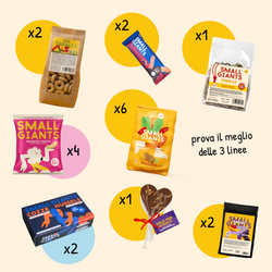 ecomposer-Composition-Discovery-Bag