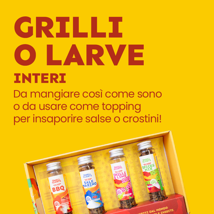 ecomposer-Composition-Discovery-Bag, ecomposer-Composition-Giant-Bag