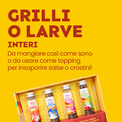 ecomposer-Composition-Discovery-Bag, ecomposer-Composition-Giant-Bag