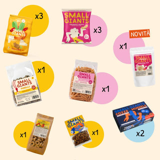 ecomposer-Composition-Small-Bag---12-prodotti