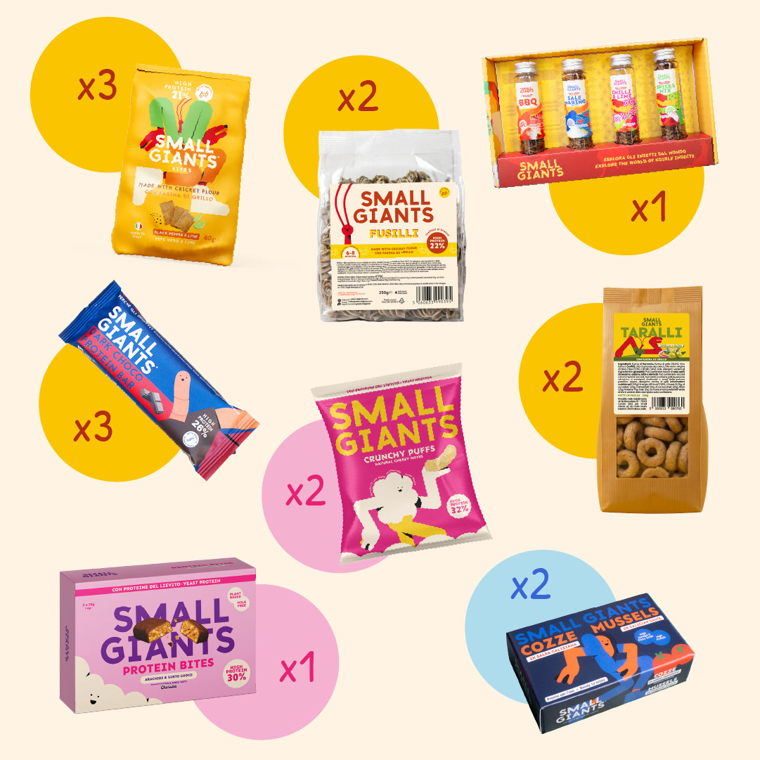 ecomposer-Composition-Discovery-Bag