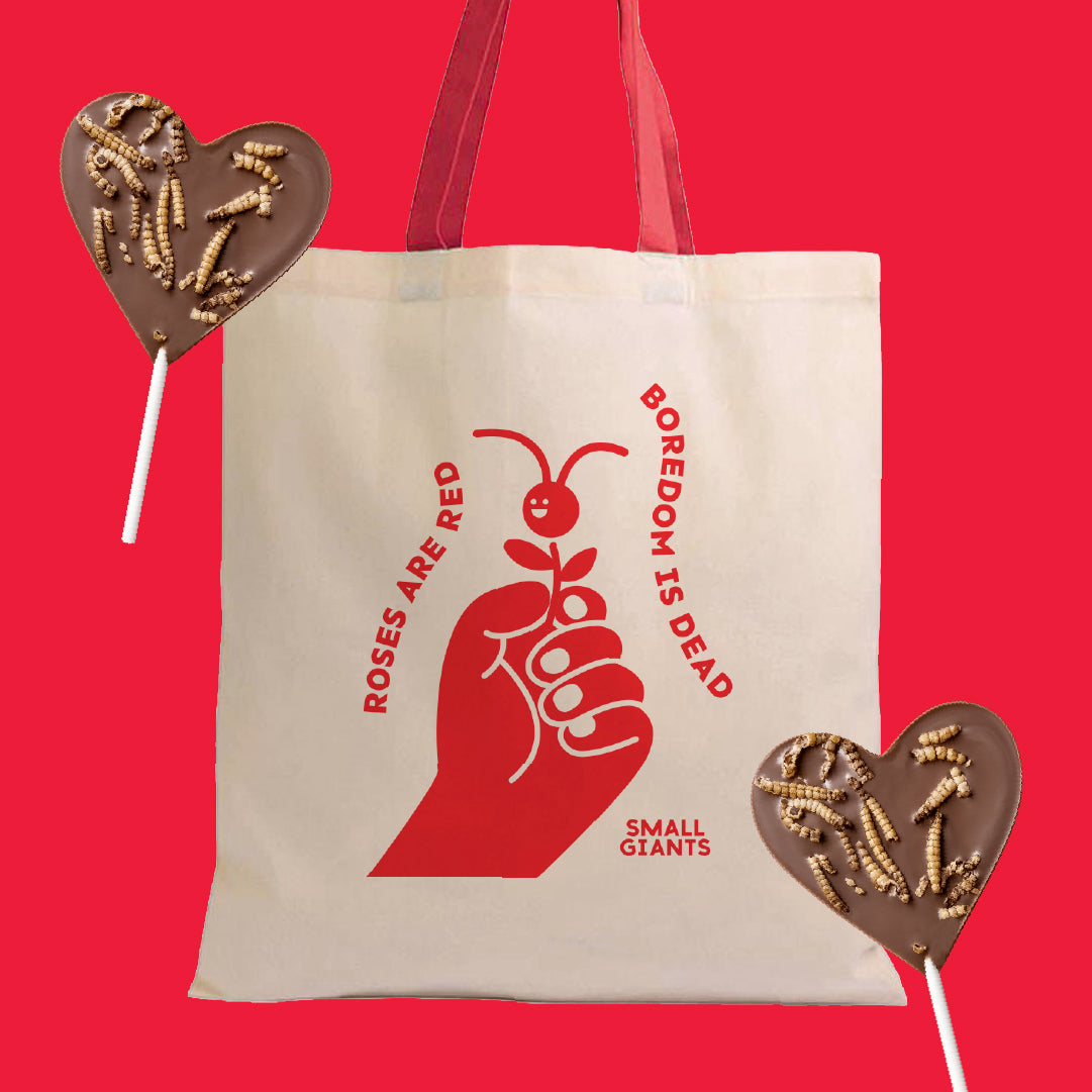 ecomposer-Composition-Bag-Cena-Speciale