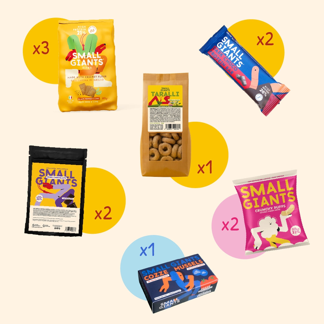 ecomposer-Composition-Small-Bag