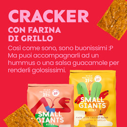 ecomposer-Composition-Bag-San-Valentino