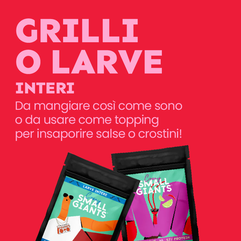 ecomposer-Composition-Bag-San-Valentino