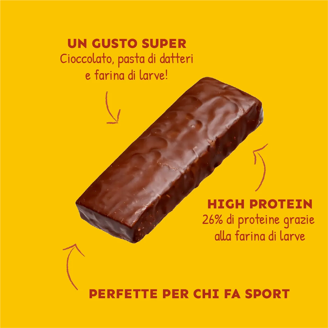 PROTEIN BARS