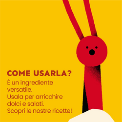 CRICKET FLOUR - 1x 200g