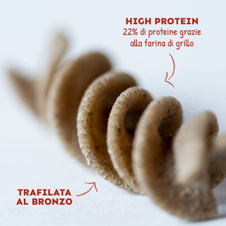 CRICKET PROTEIN PASTA