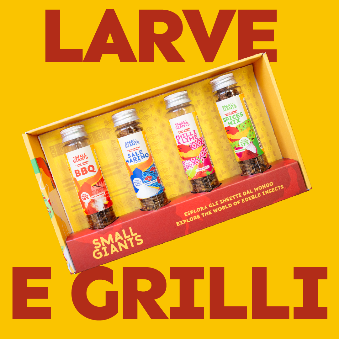 ecomposer-Composizione-Set-Insetti---4x-20g