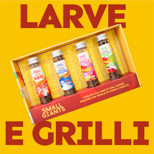 ecomposer-Composizione-Set-Insetti---4x-20g