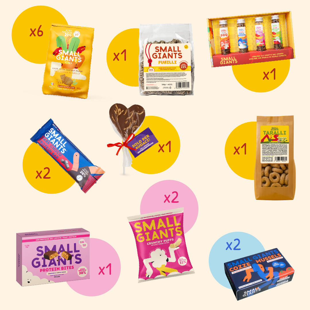 ecomposer-Composition-Giant-Bag