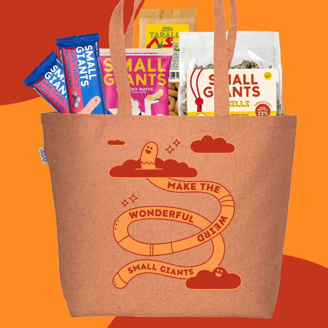 ecomposer-Composition-Giant-Bag