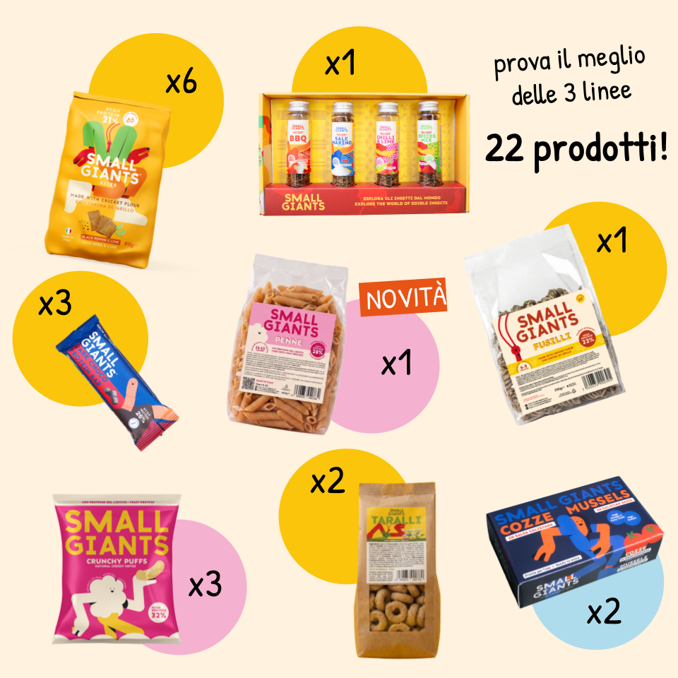 ecomposer-Composition-Giant-Bag