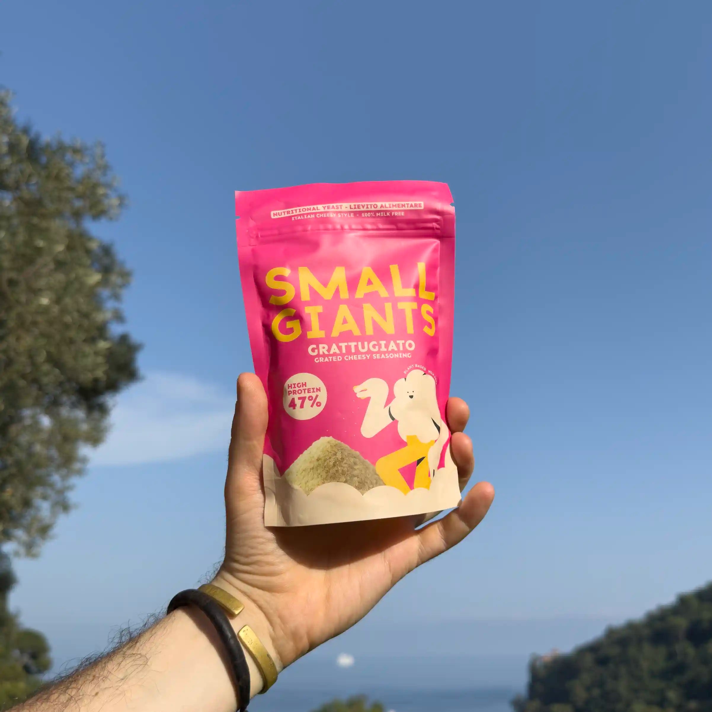GRATTUGIATO CON PROTEINE DEL LIEVITO - 47% PROTEINE