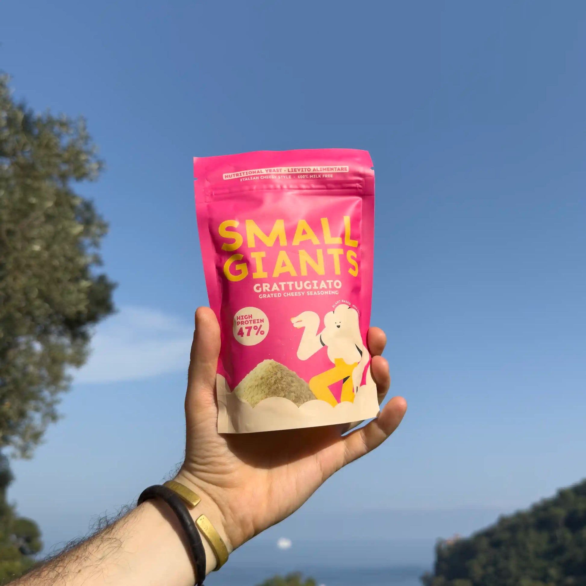 GRATTUGIATO CON PROTEINE DEL LIEVITO - 47% PROTEINE