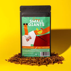 WHOLE INSECTS
