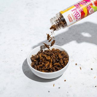 ecomposer-Composizione-Grilli-Chilli-e-Lime-Thai---1x-80g, ecomposer-Composizione-Set-Insetti---4x-20g