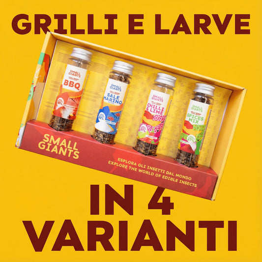 ecomposer-Composizione-Set-Insetti---4x-20g