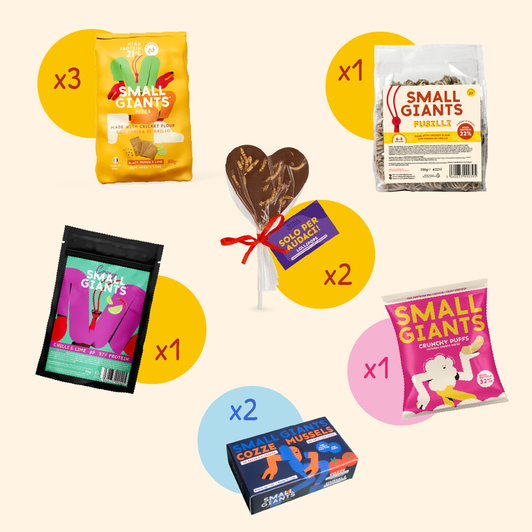 ecomposer-Composition-Bag-Cena-Speciale