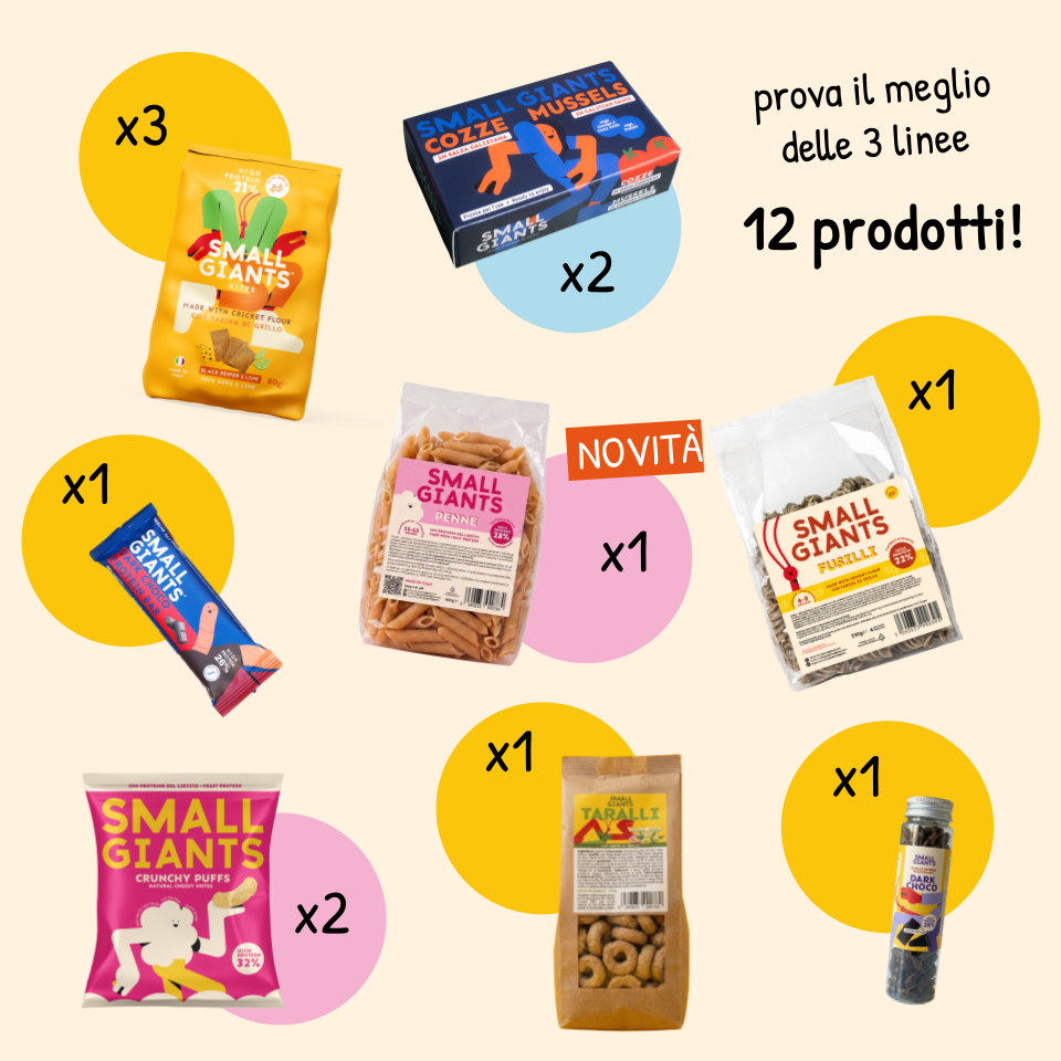 ecomposer-Composition-Small-Bag