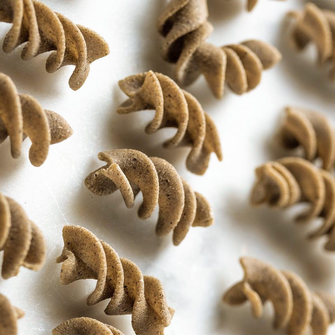 <tc>Cricket Pasta</tc> - PROTEIN PASTA - 22% <tc>protein</tc> - 4 X 250G