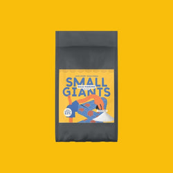 ecomposer-Composizione-Larve-al-Sale-Corea---1x-60g