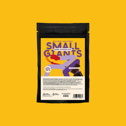 ecomposer-Composition-Bag-Natale-+-Panettone, ecomposer-Composition-Bag-Natale