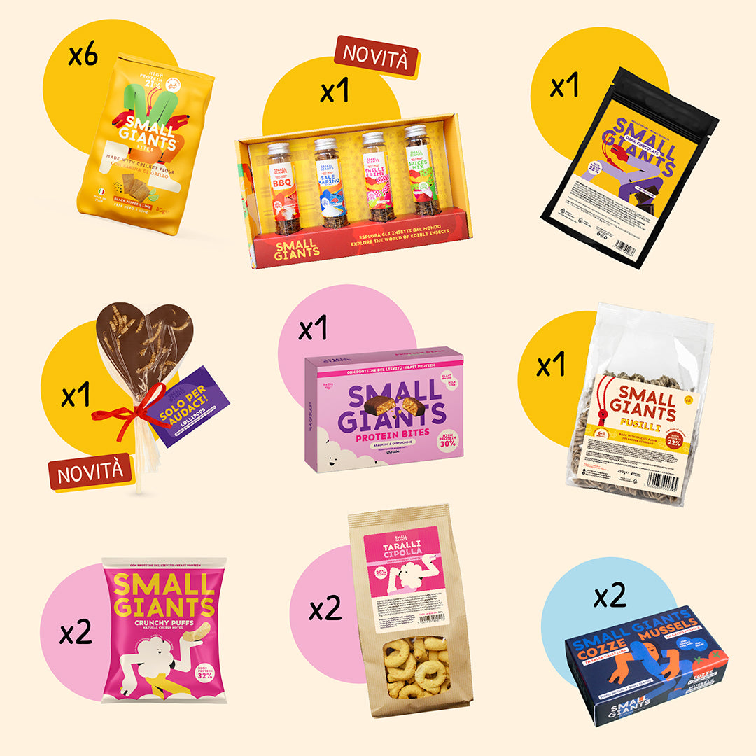 ecomposer-Composition-Bag-Natale