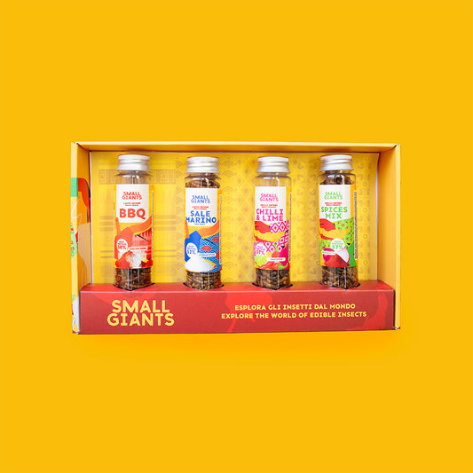 ecomposer-Composizione-Set-Insetti---4x-20g