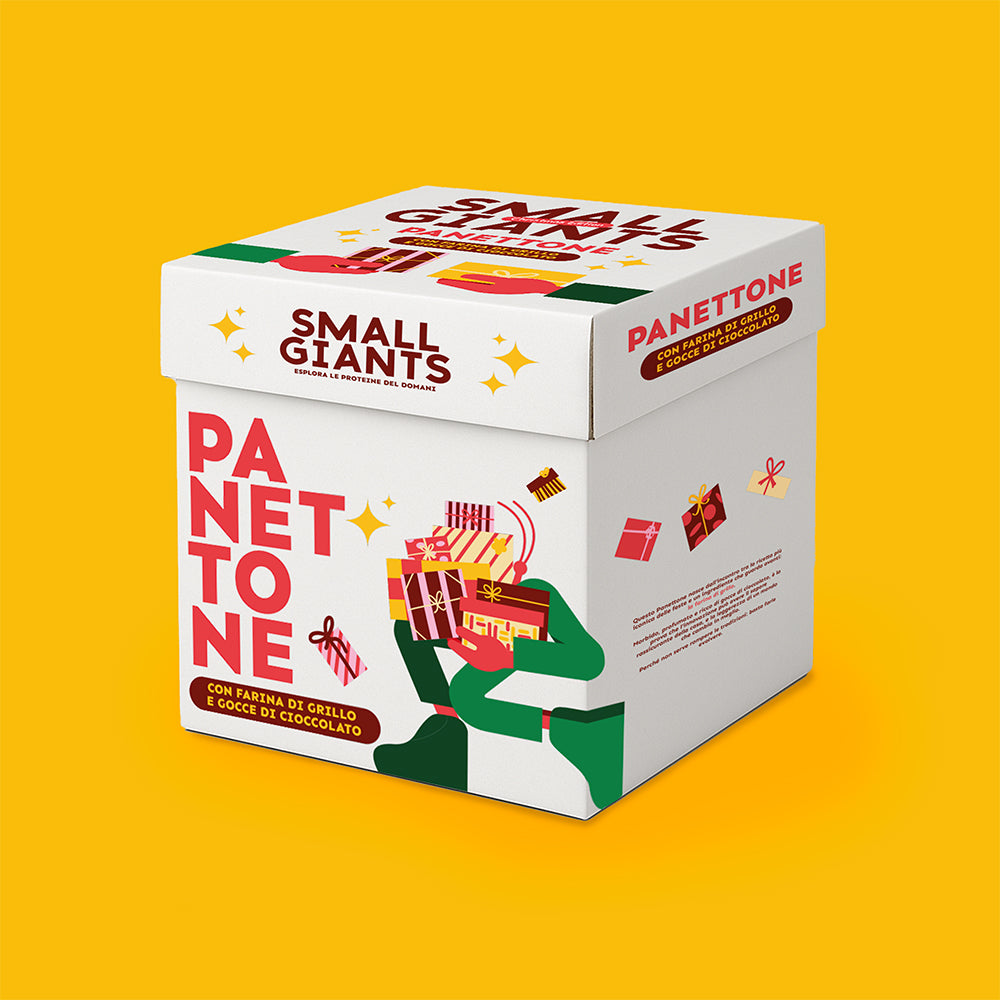 ecomposer-Composition-Bag-Natale-+-Panettone