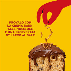ecomposer-Composizione-Panettone-+-Crema-+-Larve---1x-500g