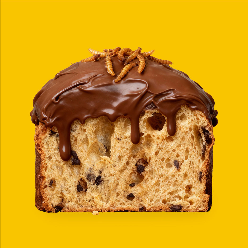 ecomposer-Composizione-Panettone-+-Crema-+-Larve---1x-500g