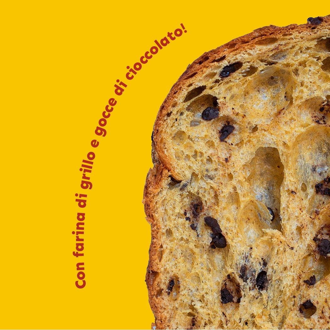 ecomposer-Composizione-Panettone---1x-500g, ecomposer-Composizione-Panettone-+-Crema-+-Larve---1x-500g