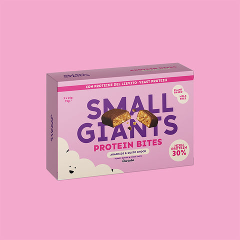 PROTEIN BITES