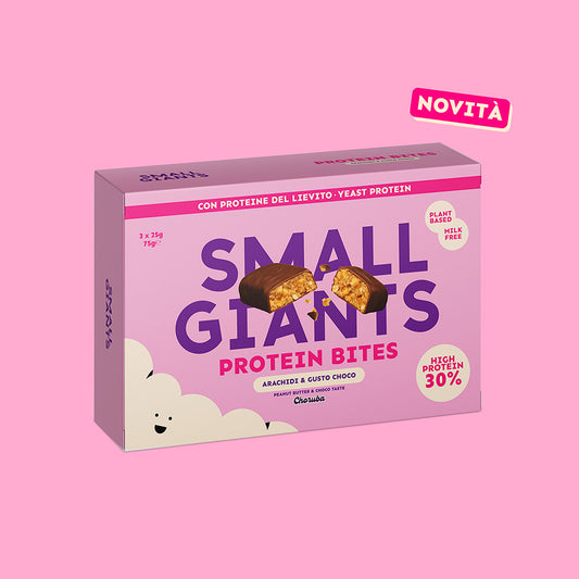 Protein Bites