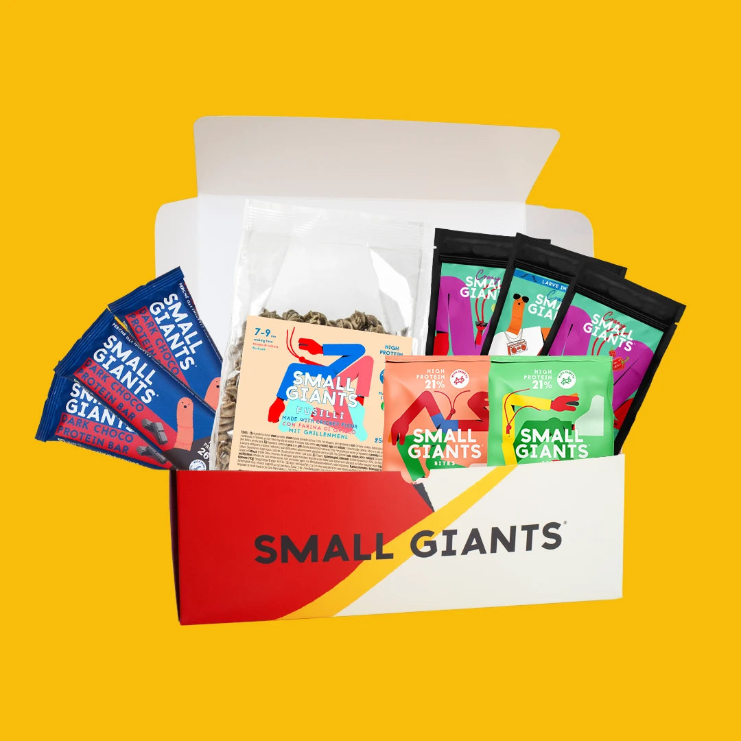 DISCOVERY PACK