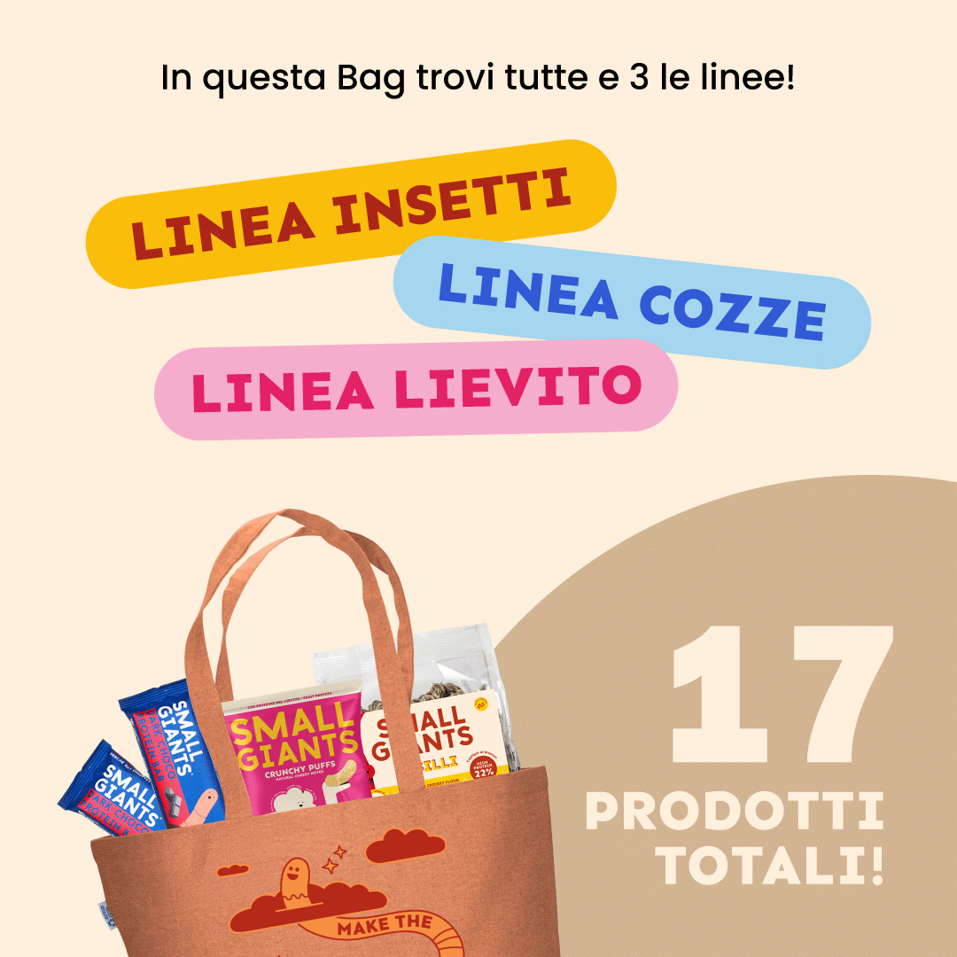 ecomposer-Composition-Giant-Bag---17-prodotti