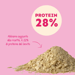 Porridge Mix