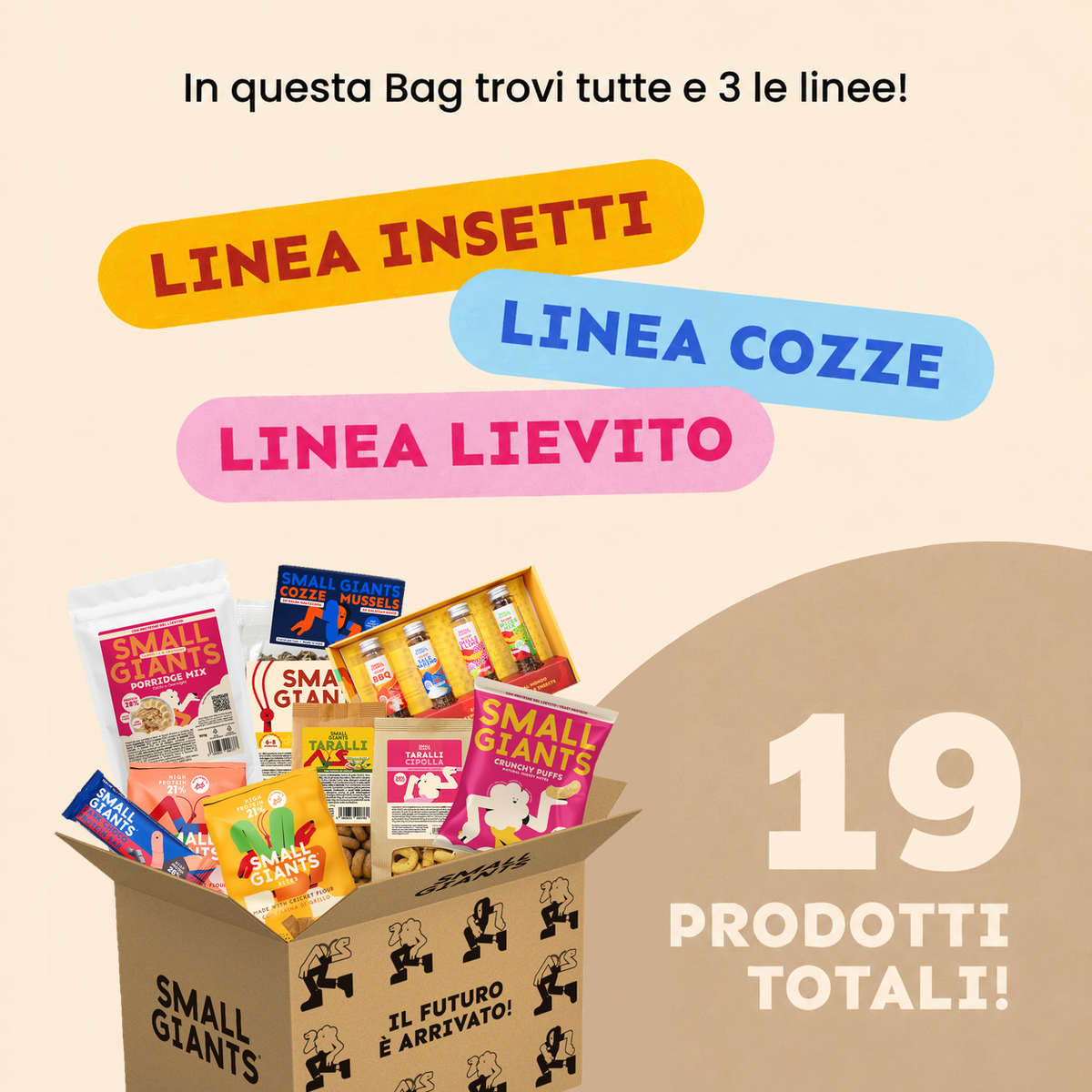 ecomposer-Composition-Giant-Box---19-prodotti