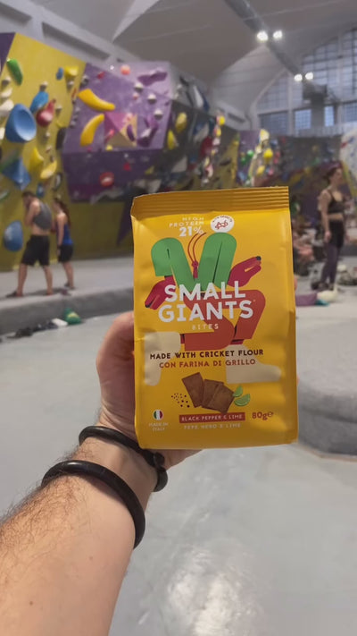 Il team di Small Giants prova gli insetti in palestra di arrampicata