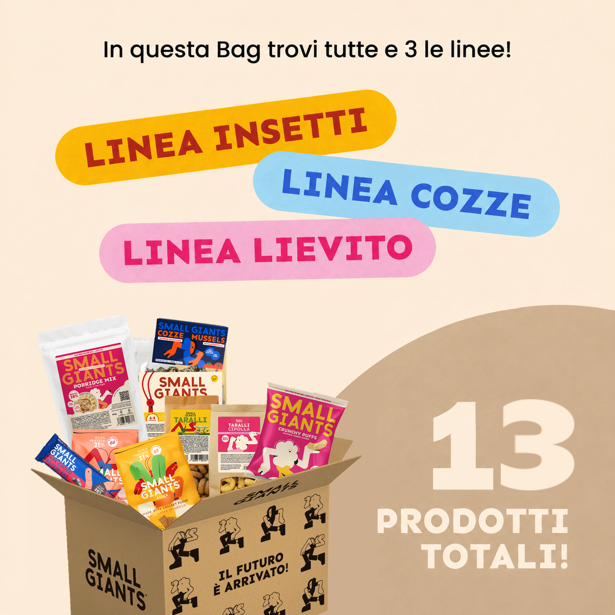 ecomposer-Composition-Small-Box---13-prodotti