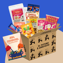 ecomposer-Composition-Small-Box---13-prodotti