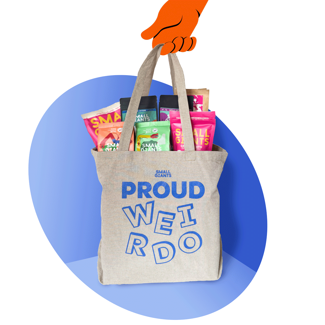 DISCOVERY BAG